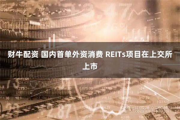 财牛配资 国内首单外资消费 REITs项目在上交所上市