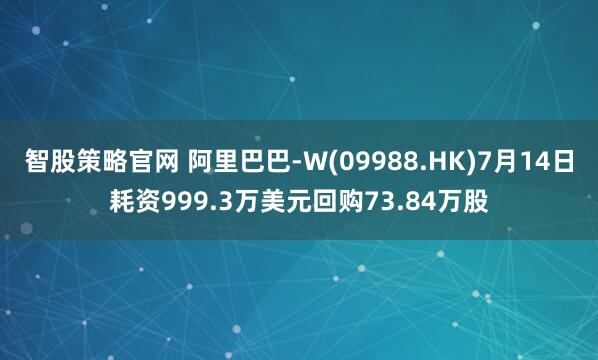 智股策略官网 阿里巴巴-W(09988.HK)7月14日耗资999.3万美元回购73.84万股